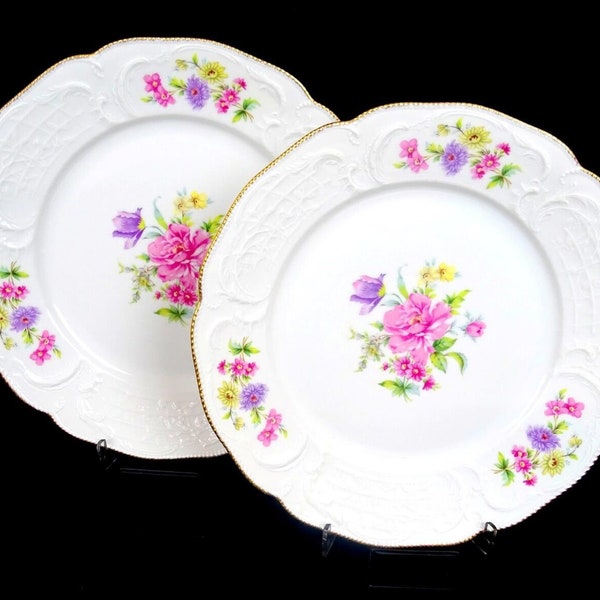 Rosenthal Sanssouci 3677 Porcelain Pink Floral 2pc Vintage 10"Dinner Plates 1950