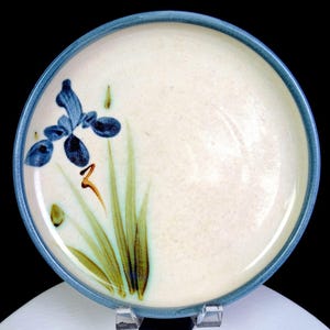 Può includere: Un piatto rotondo in ceramica con un centro color crema e un bordo blu. Il piatto presenta un disegno dipinto a mano di un fiore di iris blu con foglie e steli verdi che si estendono dal lato inferiore sinistro verso il centro del piatto.