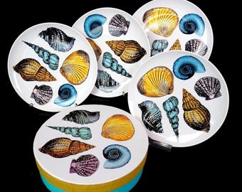 Juego de 4 platos de porcelana china Bia Cordon Bleu con diseño de conchas costeras de 7 1/4" con caja