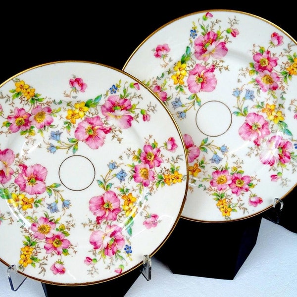 Warwick Porcelain Pink Blue & Yellow Floral 2pc Vintage 6 1/4" Bread Plates 1940