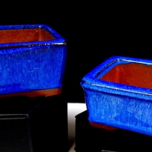 May include: Two rectangular bonsai pots with a vibrant cobalt blue glazed exterior and a natural terracotta interior. Each pot features a smooth, glossy finish on the outer walls and a wide, open top, showcasing a distinct contrast between the blue glaze and the earthy brown clay base.