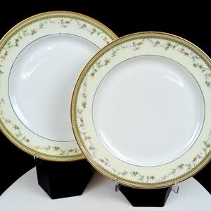 Haviland Limoges Porcelain Yale Pattern 2pc Antique 9 5/8" Dinner Plates 1894-