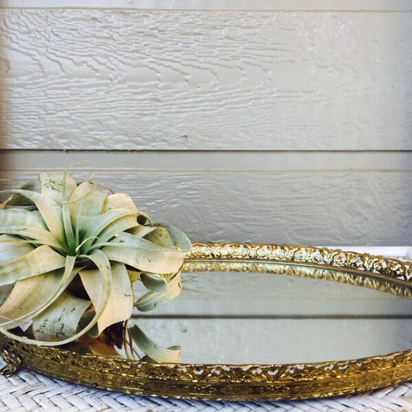 Vintage Brass Mirror Decorative Dresser Tray