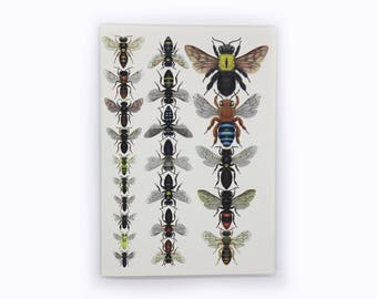 4-pack Australian Native Bee cards