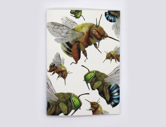 bee teddy bear