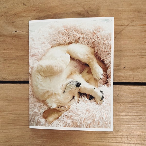 Handmade card, puppy card, sleeping dog, golden retriever, pack of 5, blank notecards, puppy print, pink dog card, puppy gift, dog lover