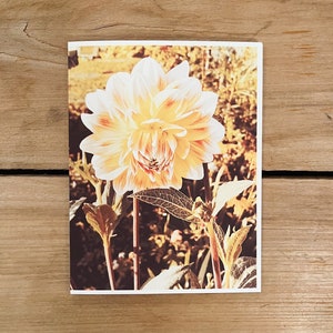 Handgemachte Karte, gelbe Dahlie, Blume Notizkarte, Vintage Fotografie, Vintage Blumen Karte, Boho Blanko Karte, 5er Set, denk an dich