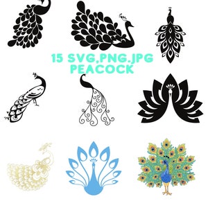 15 SVG,PeacockSVG,Peacock Feather SVG, Feather, Peacock Feather Monogram SVG, Cricut, Silhouette,Cut File