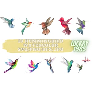 10 Hummingbird SVG, PNG, JPEG. Hummingbird eps. Watercolor Hummingbird, Hummingbird Drawing. Hummingbird Cut File Cricut, Silhouette