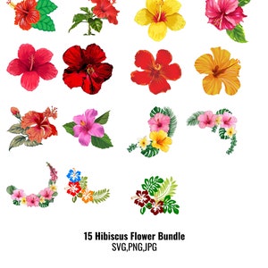 15 Hibiscus Flower Bundle SVG,PNG,JPG Cut File, Hawaiian Flower, Hibiscus, Hawaii,Flowers svg, flower svg, Hibiscus svg, tropical flower svg