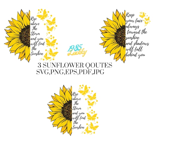 WHEN THE SUN SHINES ON YOUR WAYの作品 Sun shining over a field