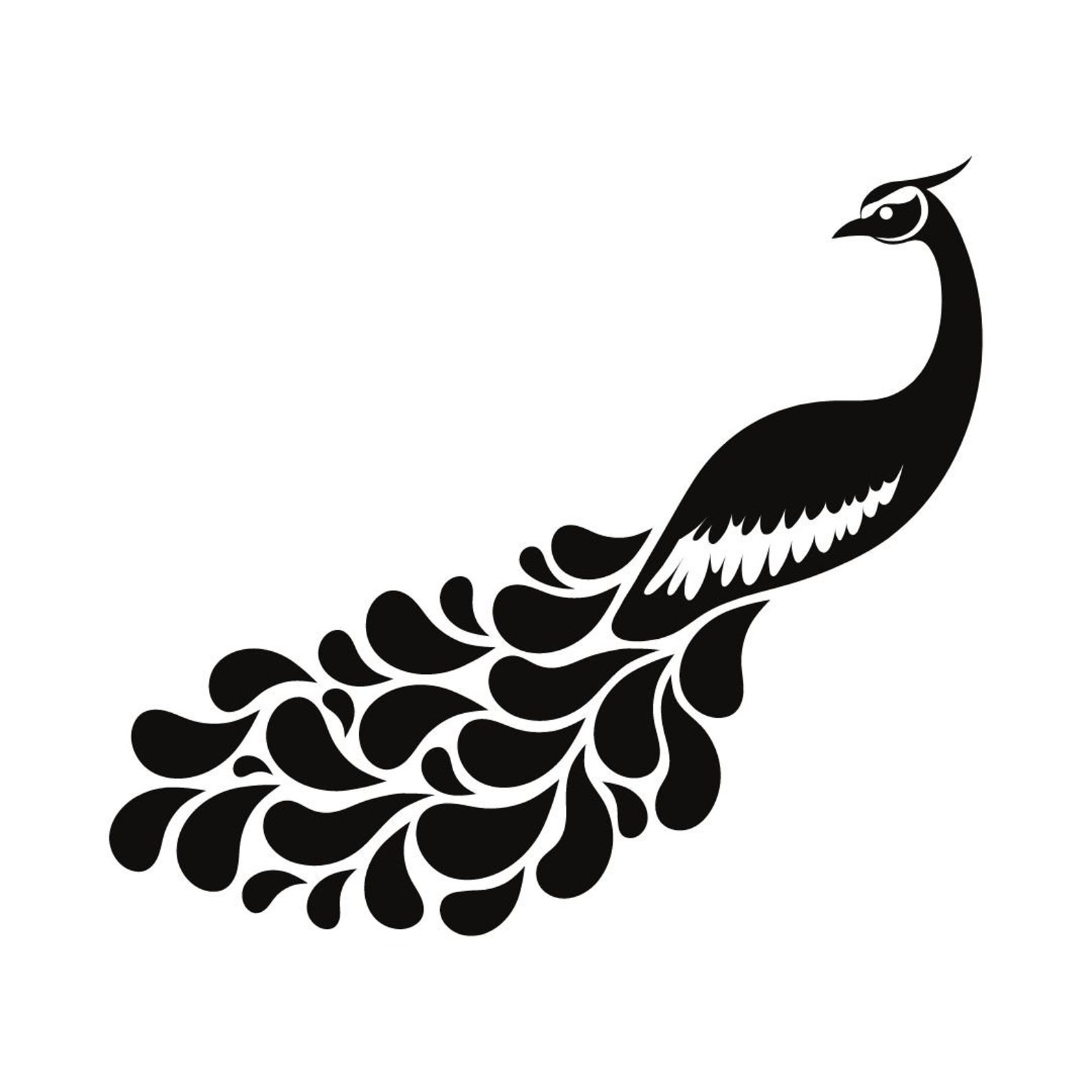 15 Peacock Svg Peacock Feather Svg Bird Svg Peacock Etsy