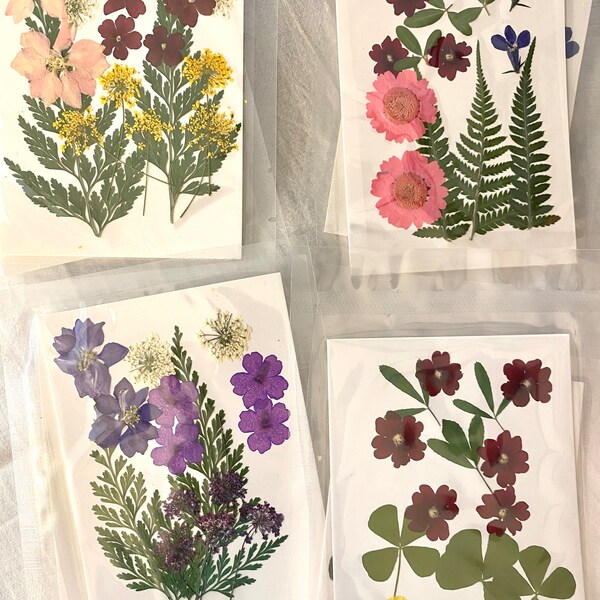 Pressed Flower Art Etsy