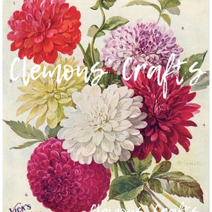 Hübsche Dahlie Junk Journal Seiten und Ephemera - Add-On Seiten für Floral Journals - Herbst Saison - Frühling Floral - Shabby Chic - Vintage Blumen