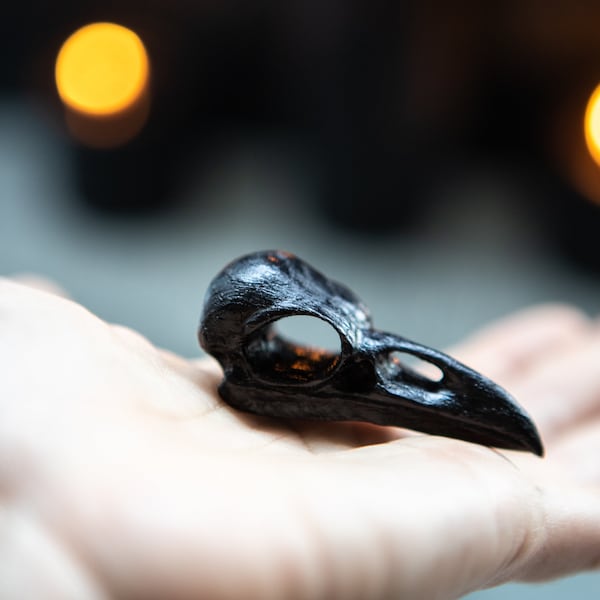 Cráneo de cuervo, colgante, brujería, bruja, vudú, chamán,