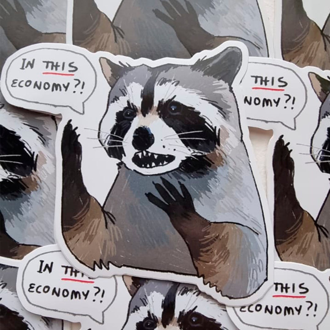 Raccoon in This Economy Sticker - Etsy