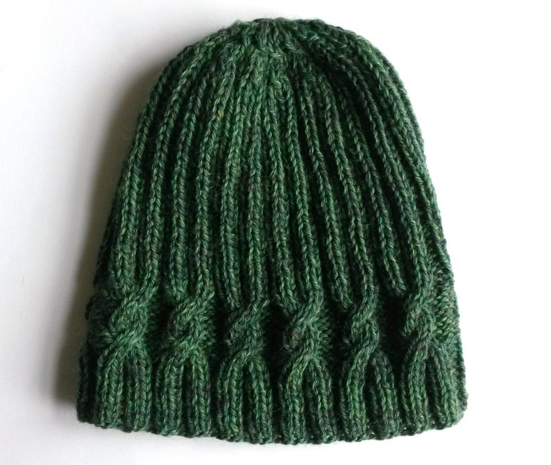 May include: A dark green knitted beanie with a cable knit pattern.