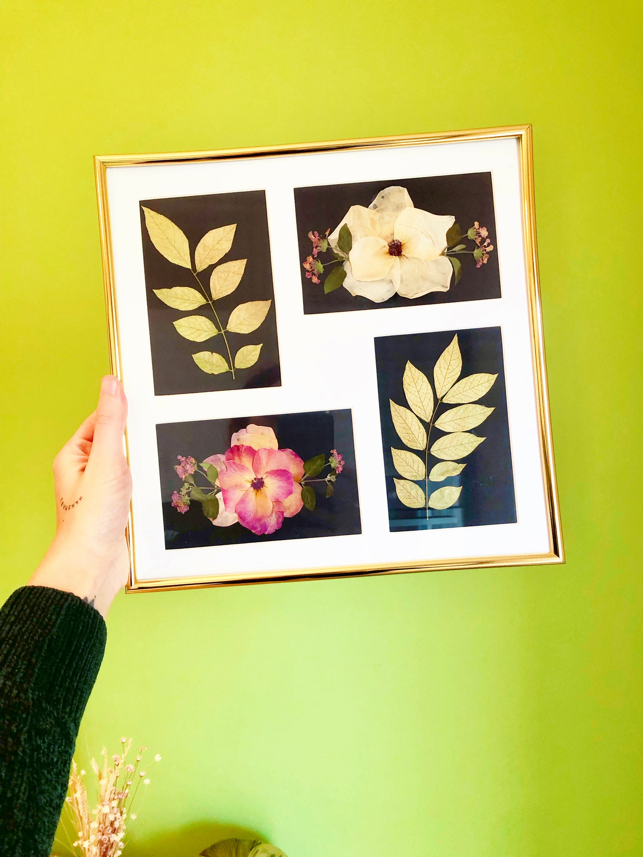 Huckleberry Make Your Own Pressed Flower Frame Art