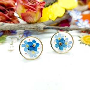 Women&#39;s earrings with gold steel hoop buttons on the lobe, real flowers forget me not forget me not. Dried pressed flower resin jewelry.