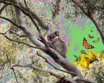 Mounted Canvas Wall Print - Australiana - "Koalarama" Pop Art Butterflies - Original photography artwork - gum trees nature - ready to hang