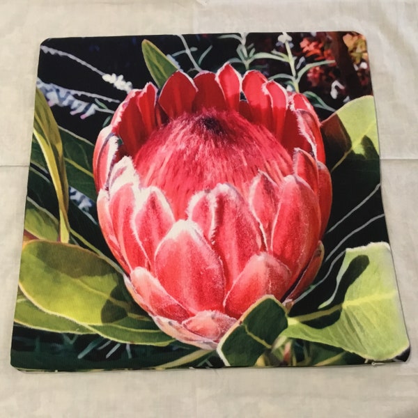 Housse d’oreiller design - Protea Pink Ice - Imprimé d’art original Pétales de fleurs florales - Zip dissimulé - Respectueux de l’environnement