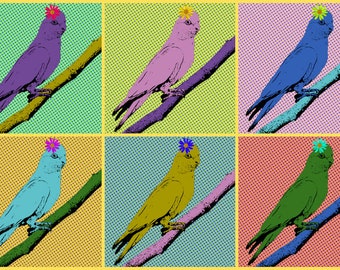 Mounted Canvas Wall Print - Pop Art Galahs - Original photography artwork - Cute Australian Birds Animals Rainbow Colours - ready to hang