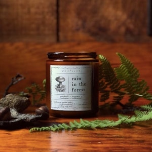 rain in the forest | essential oil candle | patchouli, bergamot, cardamom, cedarwood | soy wax candle, all-natural candle