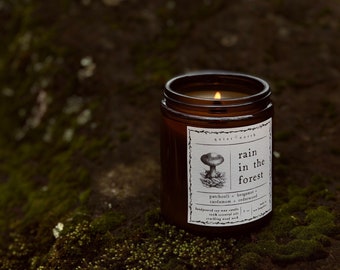 rain in the forest | essential oil candle | patchouli, bergamot, cardamom, cedarwood | soy wax candle, all-natural candle