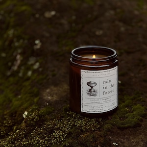 rain in the forest | essential oil candle | patchouli, bergamot, cardamom, cedarwood | soy wax candle, all-natural candle