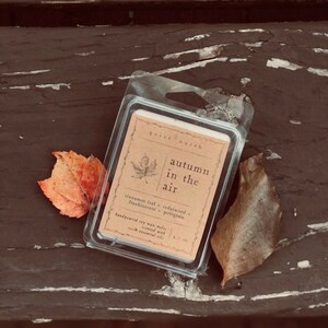 autumn in the air | essential oil wax melts | cinnamon leaf, cedarwood, frankincense, petitgrain | all natural soy wax tarts