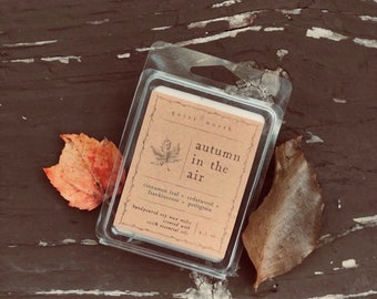 autumn in the air | essential oil wax melts | cinnamon leaf, cedarwood, frankincense, petitgrain | all natural soy wax tarts