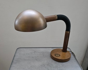 Vintage Table Lamp / MCM Desk Light by Hillebrand Germany / Goose Neck Lamp