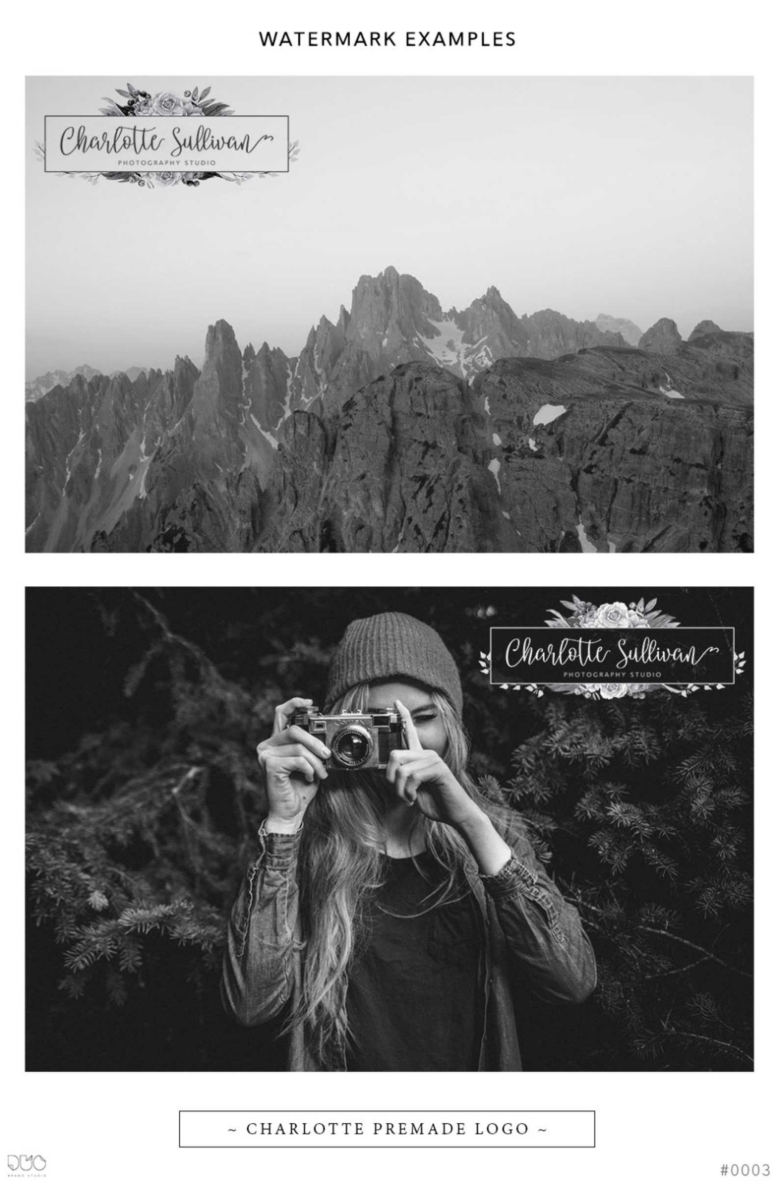 Premade Branding Kit Charlotte Logo Design Etsy