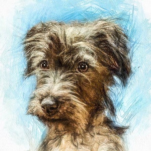 Personalized Gift, Custom Pet Portrait, Pet Loss Gifts, Cat Portrait Painting, Pet Portrait Custom, Dog Memorial Loss. Great Christmas Gift
