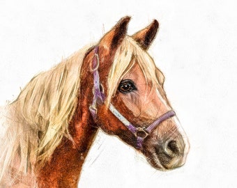Custom Horse Portrait. Personalized Horse Watercolor Illustration. Equestrian Horse Lover Gift. Commission Pencil Drawing from Picture.
