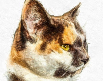 Custom Cat Portrait, Custom Pet Portrait, Cat portrait, Cat Memorial Portrait from photo, Christmas Cat Painting, Cat Lover, Pet Loss Gift