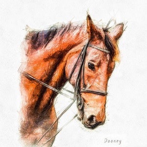 Custom Horse Watercolor. Custom Drawing Horse Portrait From Photo. Personalized Christmas Horse Sketch, Illustration Art Drawing from Photo.
