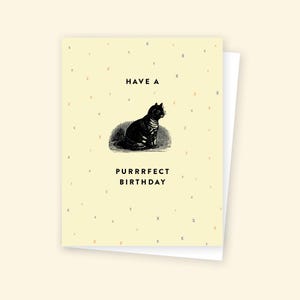 Have a PURRRFECT BIRTHDAY - Grußkarte, Katzenliebhaber Geburtstag, Humorvolle Geburtstagskarte, Lustige Geburtstagskarte, Feline Freund Geburtstag