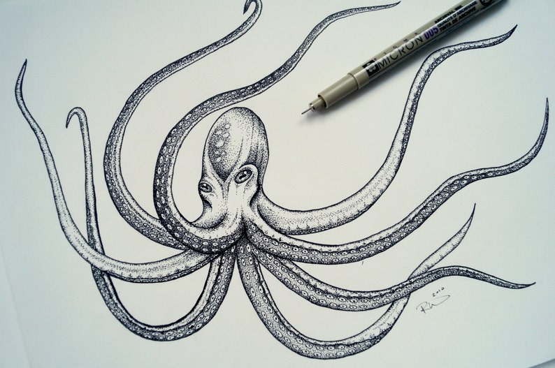 Rysunek Tuszem Oryginalny Octopus Archiwalne