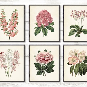 Botanical Garden, Pink flowers, Botanical Art, Garden flowers, Print set, Botanical poster, Flowers Decoration, flowers prints, 8x10 prints