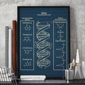 DNA Wandkunst Poster,Biologie Studenten Geschenk, Klassenzimmer Kunst Poster,Genetik Kunstdruck,Innendekoration,Studenten Geschenkidee D1
