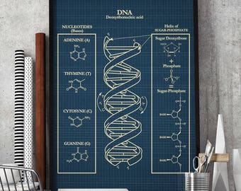 DNA Blueprint Art Print: Biology Student Gift, Classroom Decor