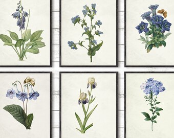 8x10 Flower Print | Etsy