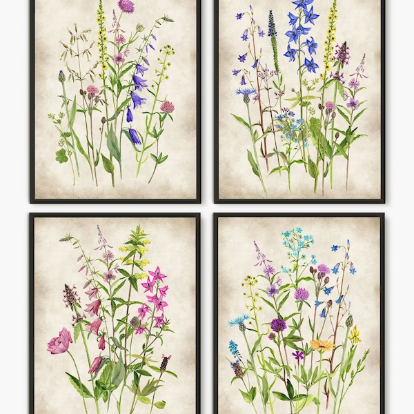 Watercolor Flowers Set of 4 Wildflower Botanical Prints - Botanical kitchen wall art - Flower Art to Enhance Your Living Room Decor