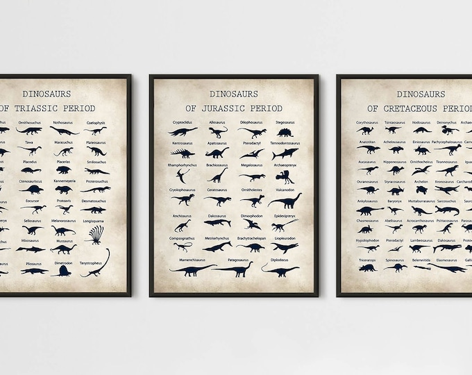 Dinosaur wall art classroom decor - set of 3 Educational posters for School - teacher decor and homeschool decor - Perfect for kids room