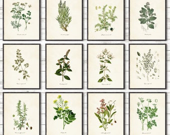 Botanical Print Set - Etsy