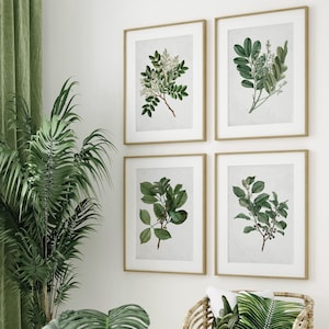 Greenery Wall Art Set of 4, Vintage Leaf Prints, Minimalist Green Branch Decor