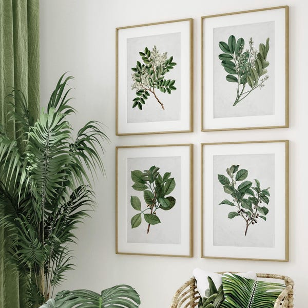 Greenery Wall Art Set of 4, Vintage Leaf Prints, Minimalist Green Branch Decor