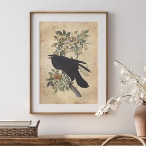 Raven Wall Art: Dark Academia Vintage Bird Drawing - Audubon Inspired