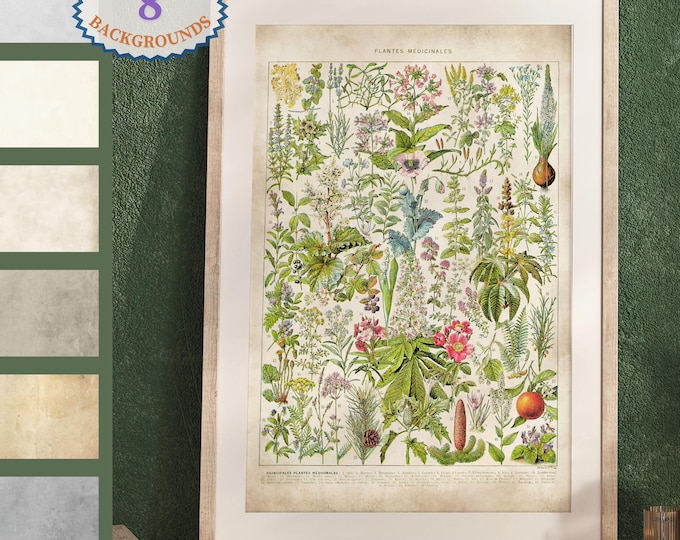 Medicinal Plants, Larousse apothecary medicinal herbs, apothecary art print, botanical prints for farmhouse decor